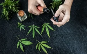 weed