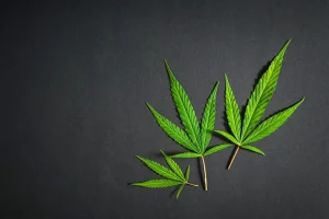 weed