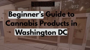 Beginner’s Guide to Cannabis Products in Washington DC